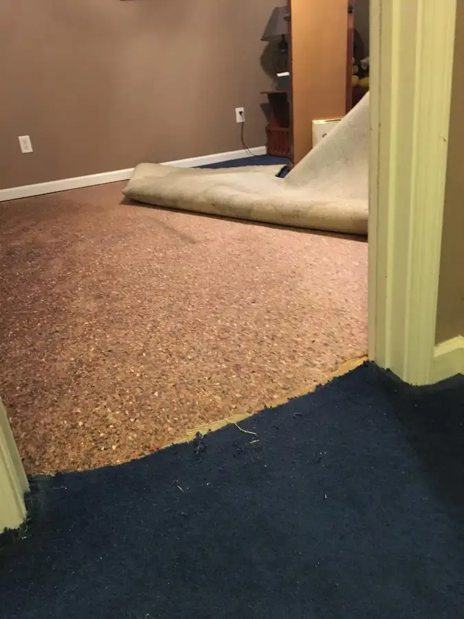 Carpet pad removal revealing water damage during Drying & Dehumidification in Brier