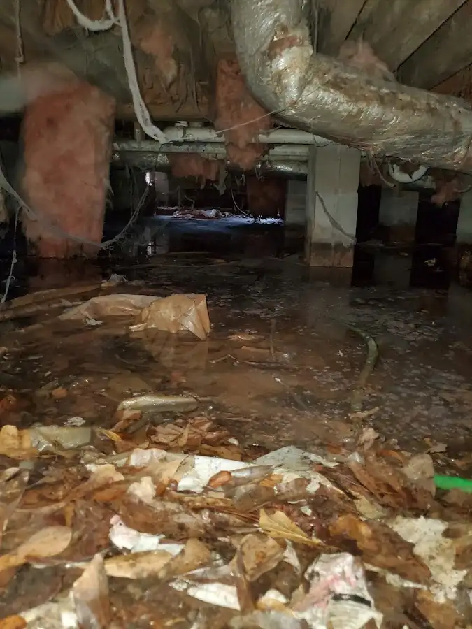 Crawl space flood assessment for Commercial Water Damage Restoration in Brier